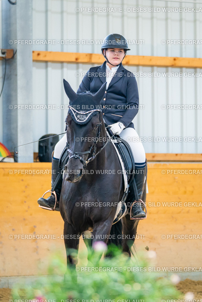 DSC08063 | Pferdegrafie