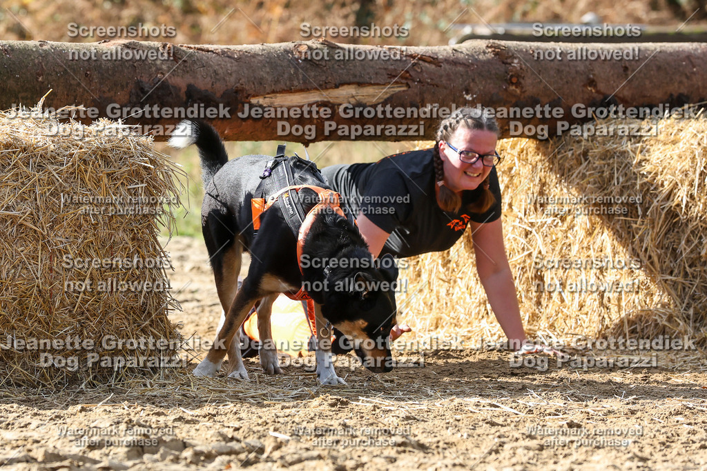 Dog Paparazzi - Strongdog 10-25-5279 | Dog Paparazzi Jeanette Grottendiek Fotografie & Videografie - Realisiert mit Pictrs.com