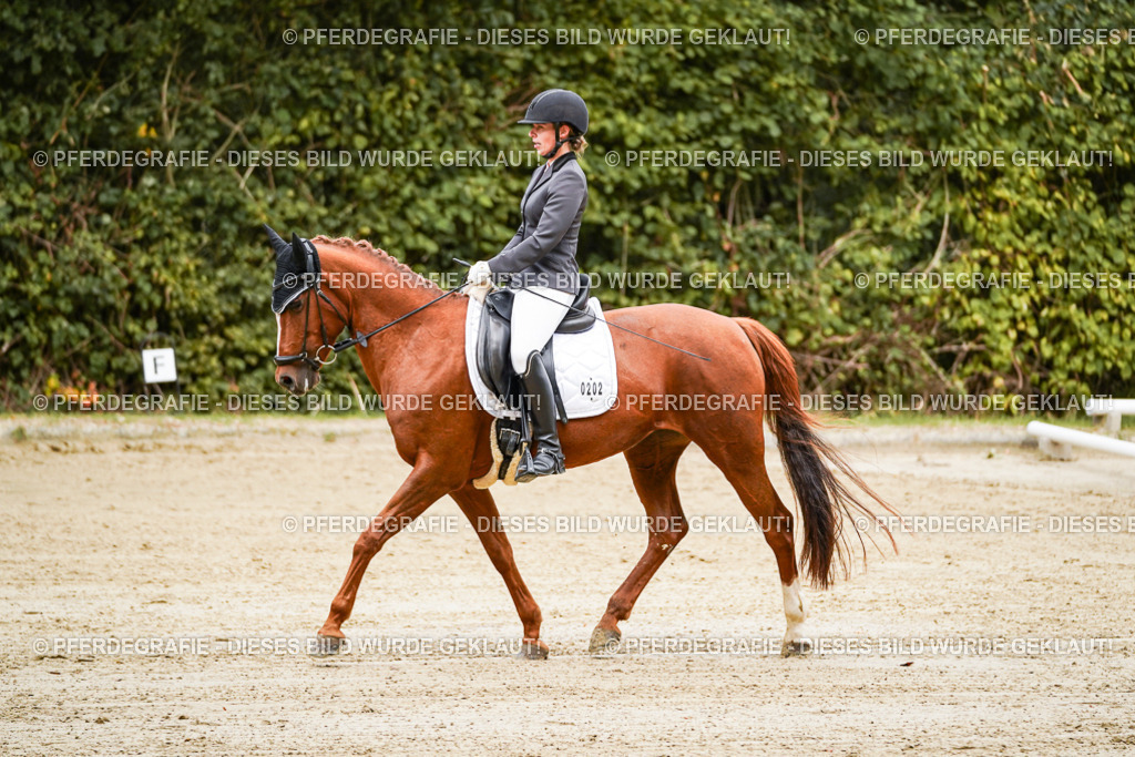 DSC08709 | Pferdegrafie