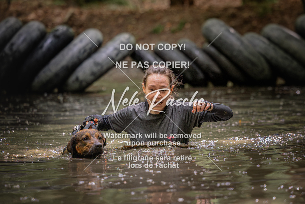 nelerasche_SaWingst1400-1500_256 | nelerasche