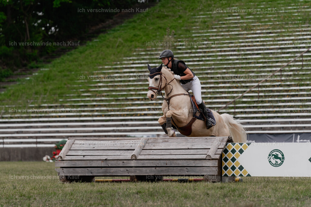 Showprogramm-395 | working equitationturnier fotograf videograf stoibphotography marixx film working equitation deutschland reitsport turnierfotografie eventfotografie equestrian events