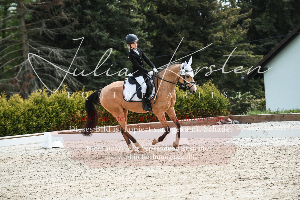 20230518_JK-Röhrsdorf-11-0169 | Pferde- und Turnierfotografie in Westsachsen. Pferdeportraits, Auftragszeichnungen und intuitive Kunst.