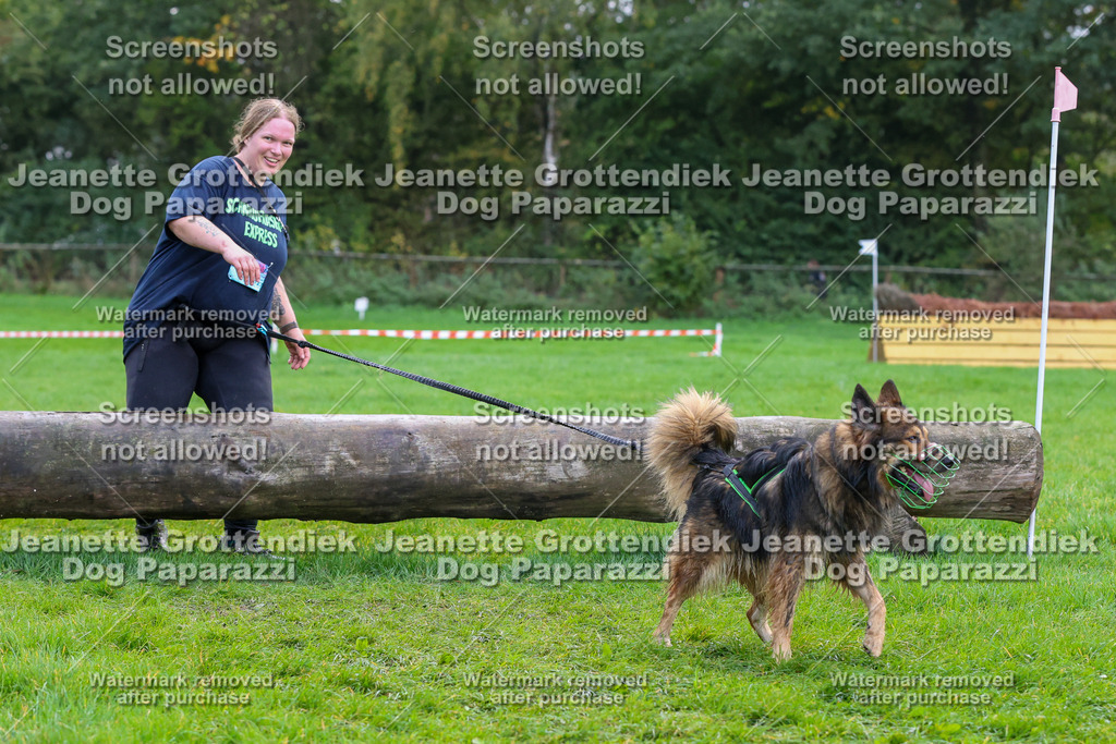 Dog Paparazzi -  SD1026-2076 | Dog Paparazzi Jeanette Grottendiek Fotografie & Videografie - Realisiert mit Pictrs.com
