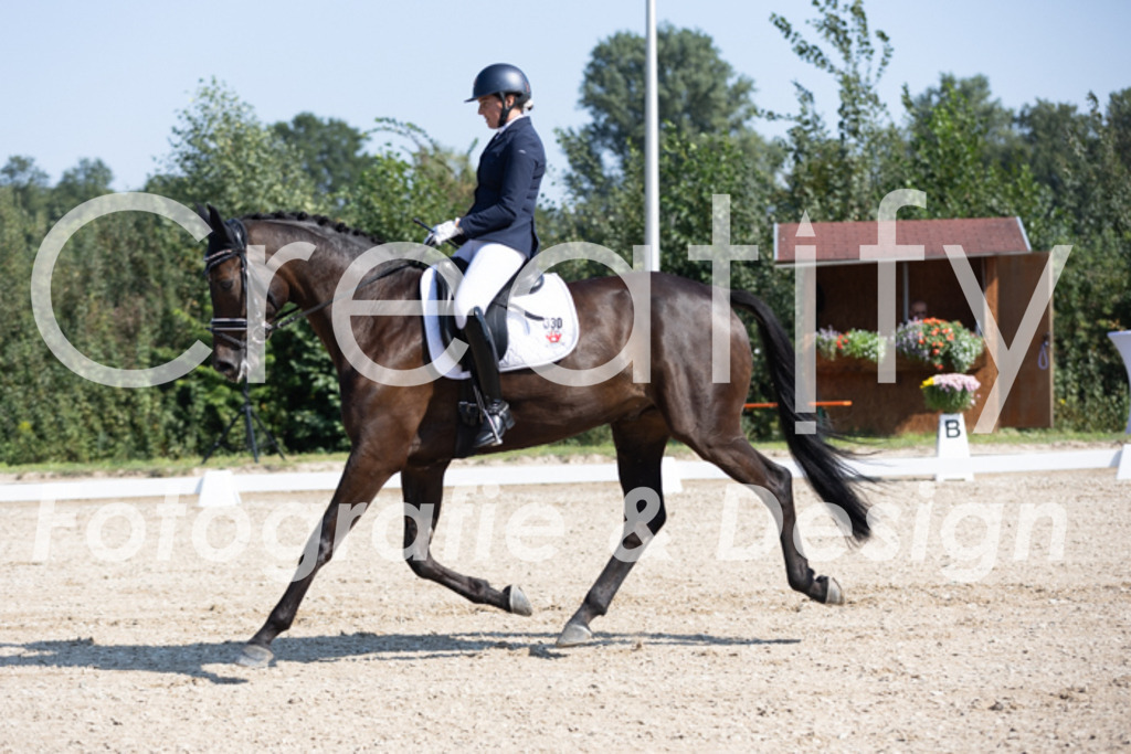 IMG_5244 | Creatify Fotografie