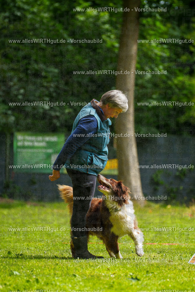 @allesWIRTHgut_Tierfotografie - www.allesWIRTHgut.de - 101136-7R508144 | Professionelle Tierfotografie in Mönchengladbach von Daniel Wirth (allesWIRTHgut). Liebevolle & natürliche Bilder von Hunden & Katzen für unvergessliche Erinnerungen.