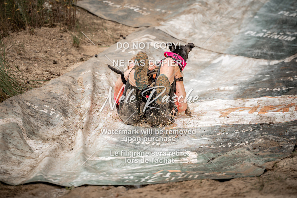 nelerasche_sa0800-1000_440 | nelerasche