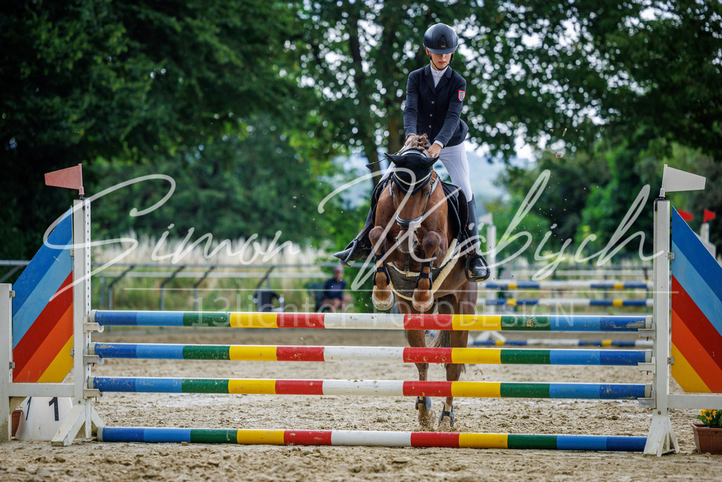 20260705-_3LI4659 | Tierfotografie Pferde, Hunde, Katzen, Haustiere.
Turnierfotografie Reitturniere, Reiten, Springreiten, Dressur in Hanau, dem Main-Kinzig-Kreis und dem Rhein-Main- Gebiet um Frankfurt
