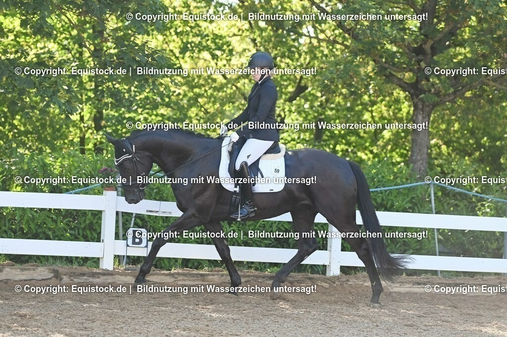 20230715_06_Dressurpferdeprfg. Kl.A_0106 | equistock