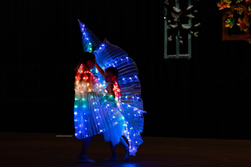 DSC08719 | Tinu Müller Fotografie- Bildershop - Realisiert mit Pictrs.com