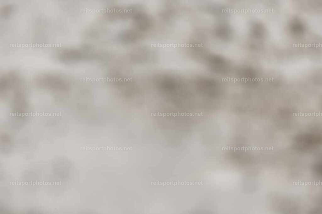 JoYaR3_Heidehof_00730 | JoYa Fotografie - Realisiert mit Pictrs.com