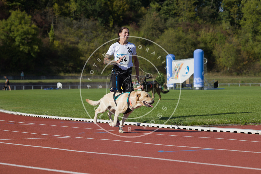 0L8A0059 | Hundefotografie, Tierfotograf, Pfotenfotografie, Fotoshooting Hund, Hunde Portrait, Hundesport, Hundeportraits, Heideshooting, Hunde, Sportfotograf, Hundefotograf, Turnierhundsport, THS,  - Realisiert mit Pictrs.com