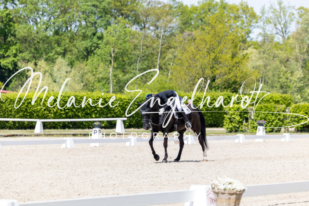 7I8A0172 | melanie-engelhardt-photography - Realisiert mit Pictrs.com
