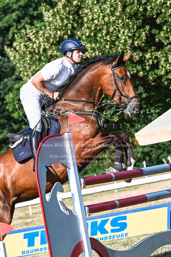 DSC_2722 | Pferde- und Turnierfotografie in Westsachsen. Pferdeportraits, Auftragszeichnungen und intuitive Kunst.