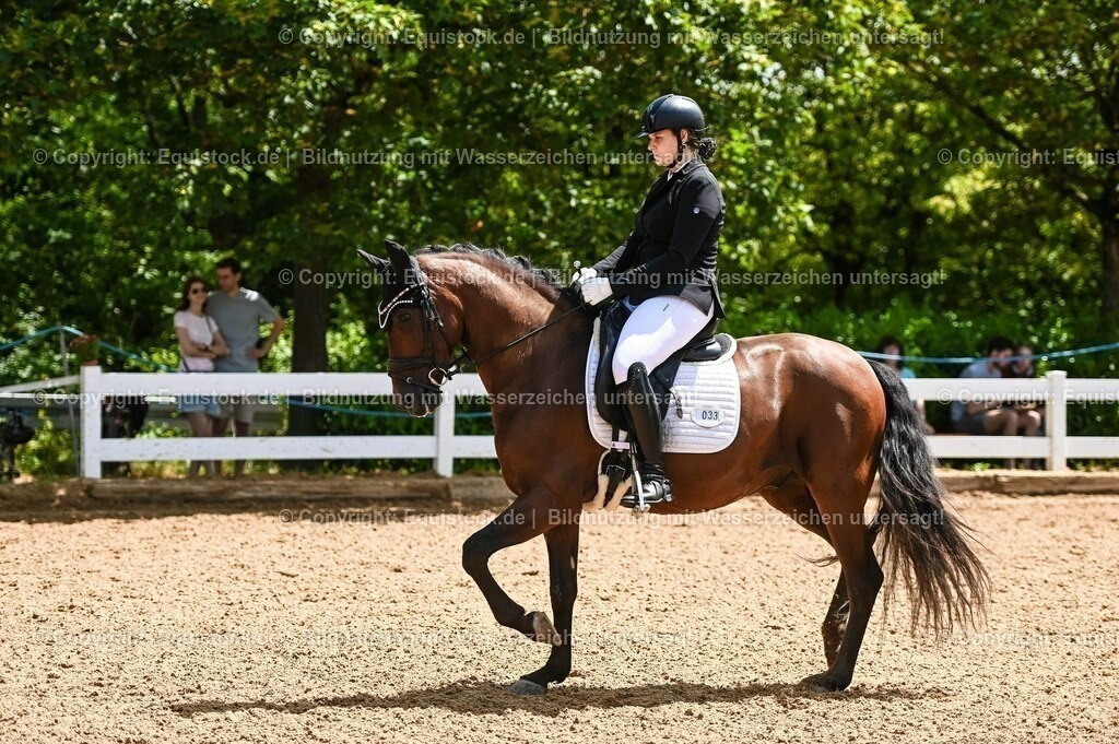 20230716_03_Dressurprfg. Kl.L - Tr._0107 | equistock