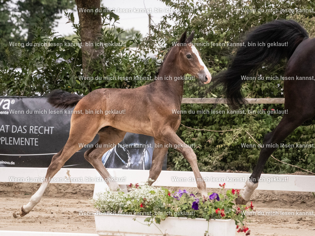 A10I9568 | photographylinaismer - Realisiert mit Pictrs.com