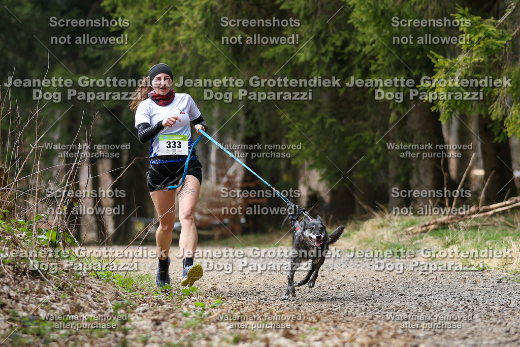 Dog Paparazzi - VCC26-479 | Dog Paparazzi Jeanette Grottendiek Fotografie & Videografie - Realisiert mit Pictrs.com