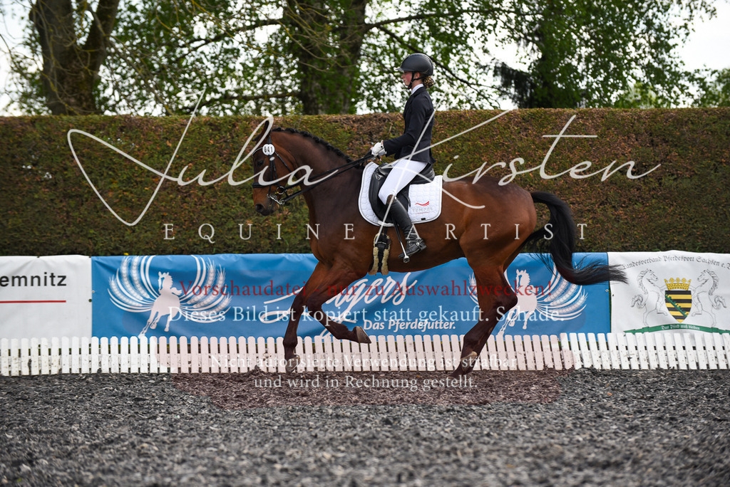 20230513_JK-Röhrsdorf-17-080 | Pferde- und Turnierfotografie in Westsachsen. Pferdeportraits, Auftragszeichnungen und intuitive Kunst.