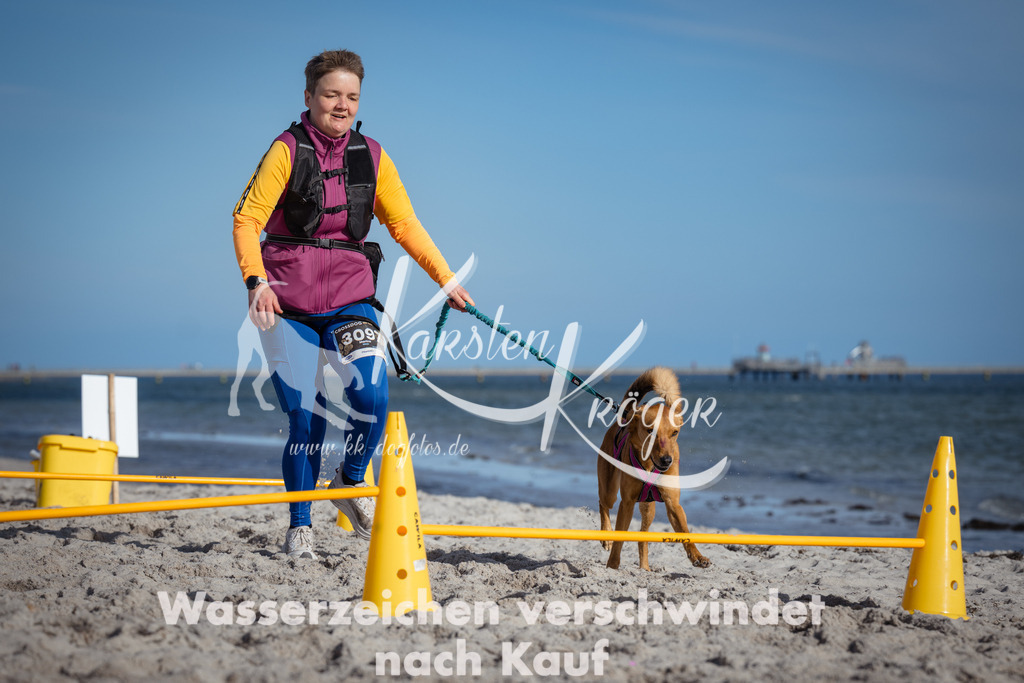 1356_ZZ94496 | kk-dogfotos