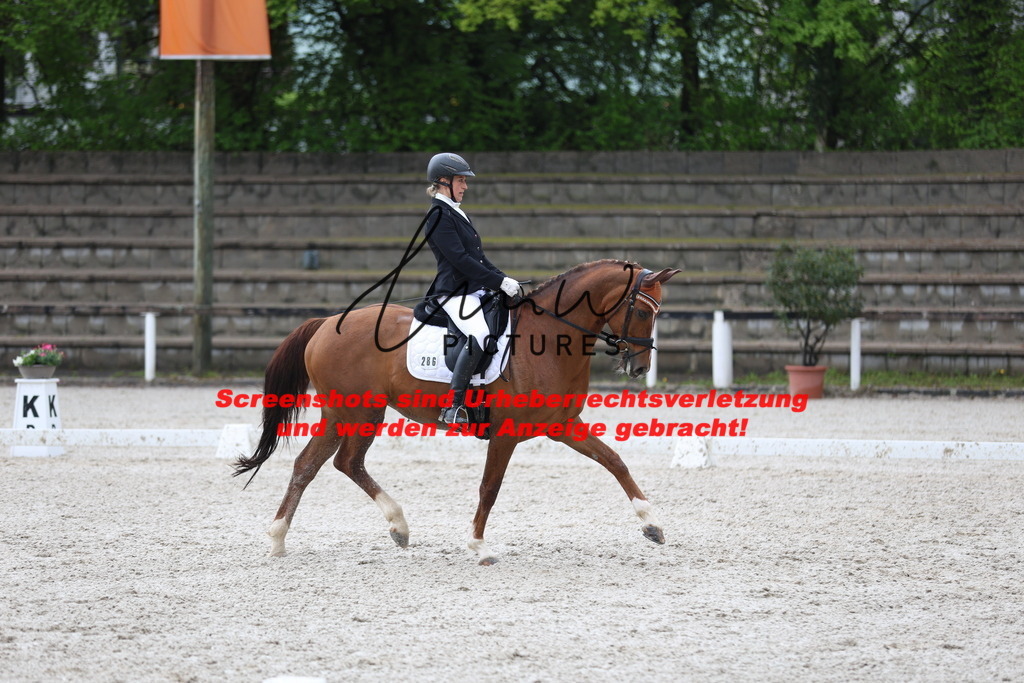 A40A9093 | lmwpictures - Realisiert mit Pictrs.com