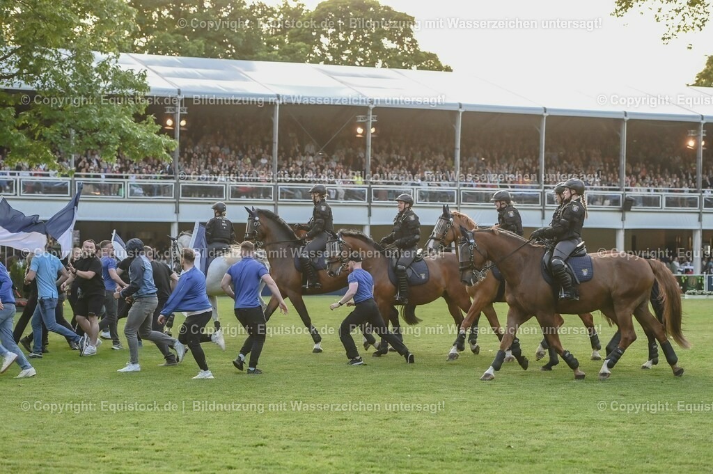 20230526_Pferdenacht_0440 | equistock