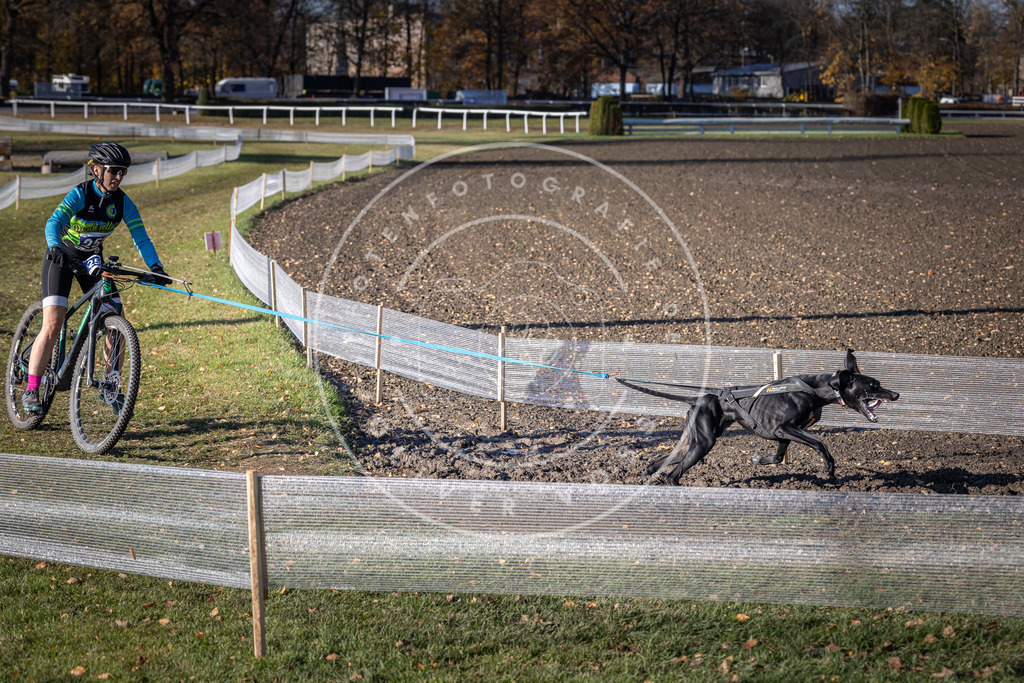 CaniXpix_DV3A4642 | Hundefotografie, Tierfotograf, Pfotenfotografie, Fotoshooting Hund, Hunde Portrait, Hundesport, Hundeportraits, Heideshooting, Hunde, Sportfotograf, Hundefotograf, Turnierhundsport, THS,  - Realisiert mit Pictrs.com