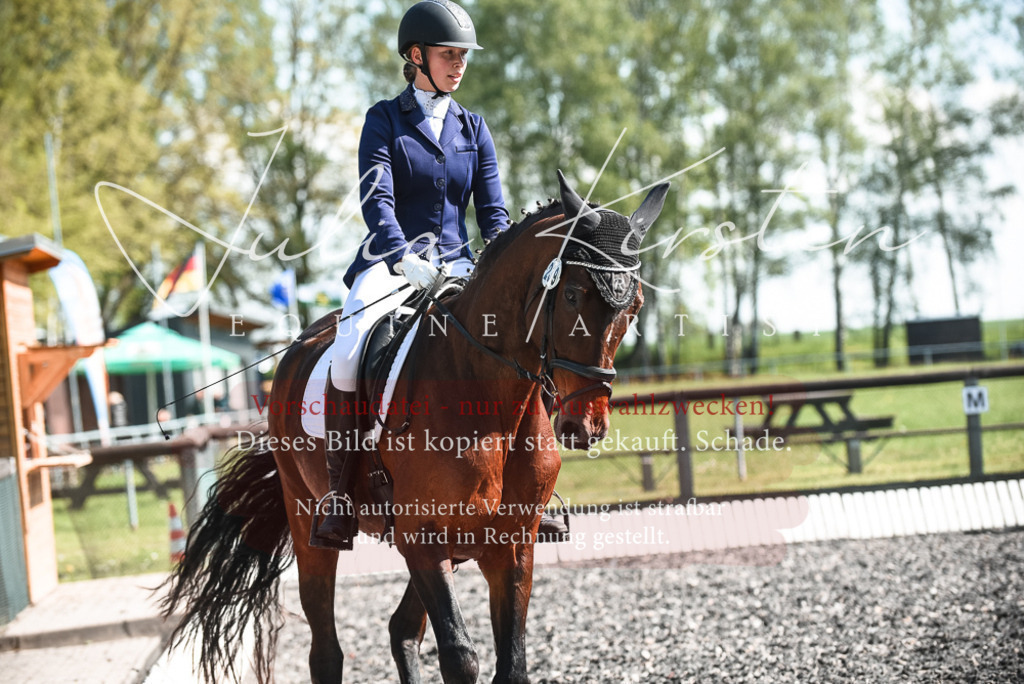 DSC_8780 | Pferde- und Turnierfotografie in Westsachsen. Pferdeportraits, Auftragszeichnungen und intuitive Kunst.