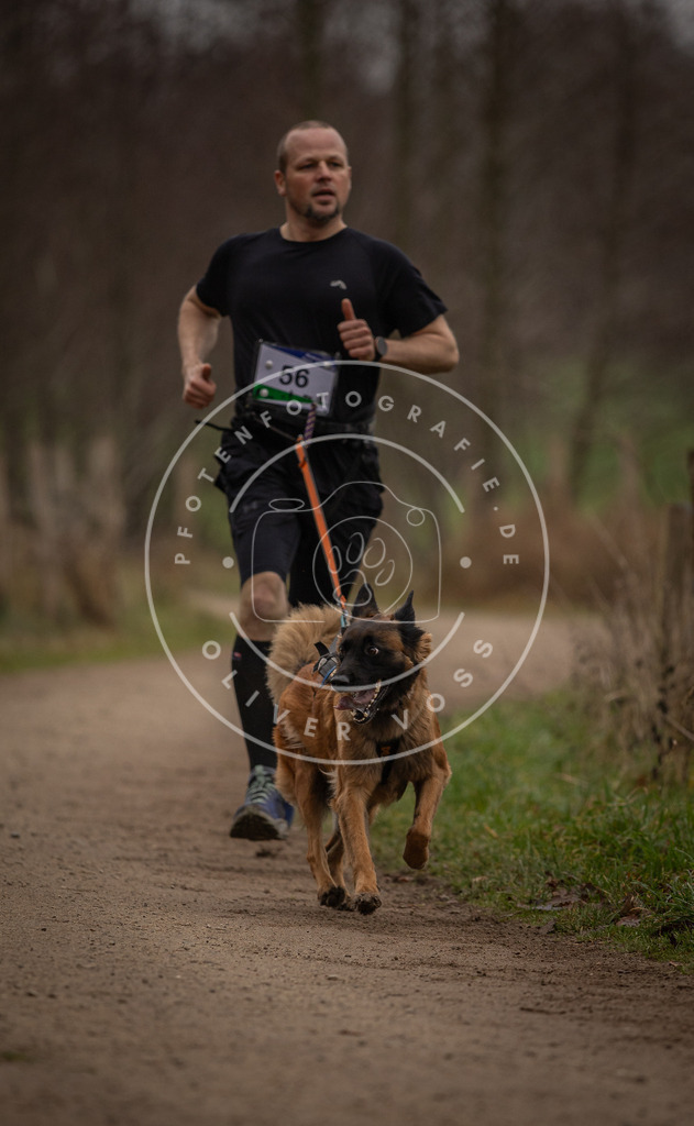 Pfotenfotografie_DV3A3056 | Hundefotografie, Tierfotograf, Pfotenfotografie, Fotoshooting Hund, Hunde Portrait, Hundesport, Hundeportraits, Heideshooting, Hunde, Sportfotograf, Hundefotograf, Turnierhundsport, THS,  - Realisiert mit Pictrs.com