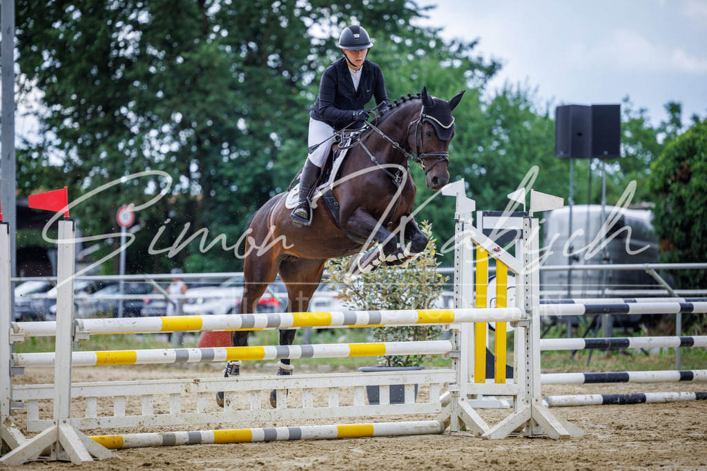 20260705-_3LI5186 | Tierfotografie Pferde, Hunde, Katzen, Haustiere.
Turnierfotografie Reitturniere, Reiten, Springreiten, Dressur in Hanau, dem Main-Kinzig-Kreis und dem Rhein-Main- Gebiet um Frankfurt