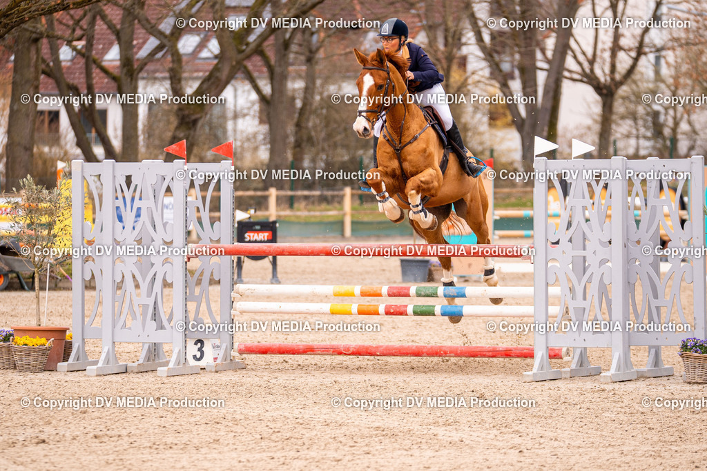 Kranichstein Tag 2-437 | dv-media-shop - Realisiert mit Pictrs.com