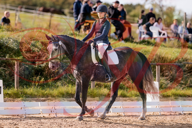 2026_10_03_Siefer-Hof_115943_Z81_00722213 | Professionelle Reitsport-, Turnier- und Eventfotografie von Robert Broda. Galerien mit ausgewählten und bearbeiteten Bildern direkt online ansehen und bestellen.