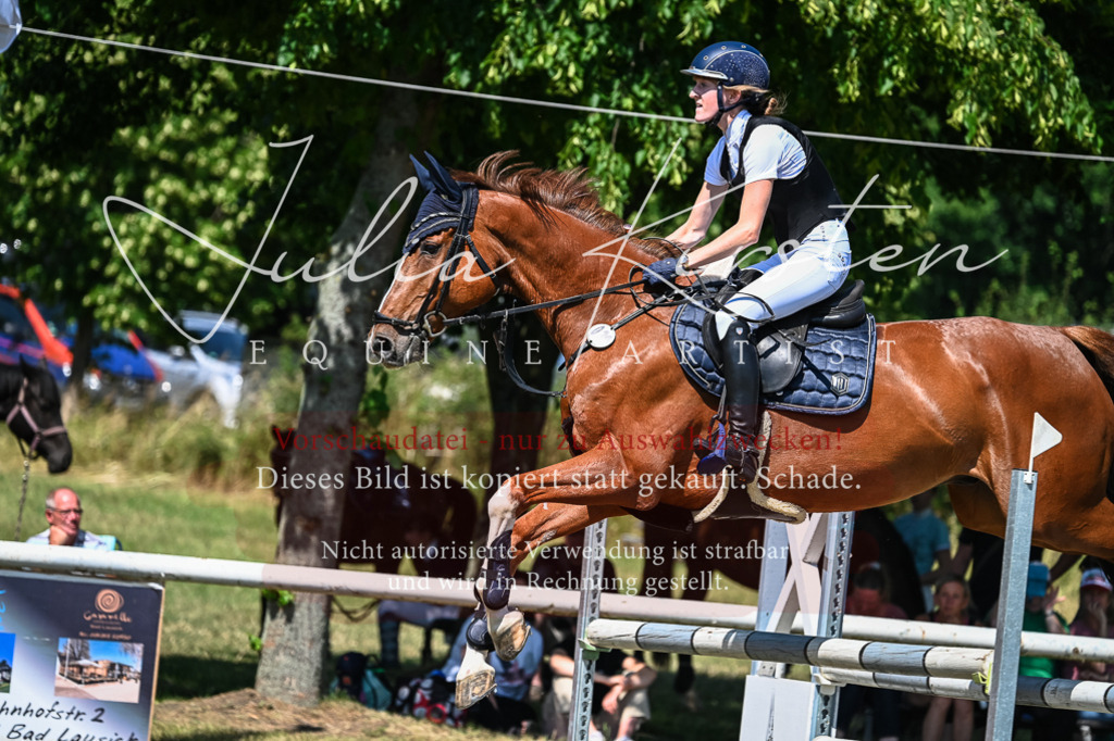 DSC_1175 | Pferde- und Turnierfotografie in Westsachsen. Pferdeportraits, Auftragszeichnungen und intuitive Kunst.