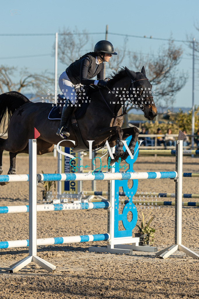 IMG_2423 | s-jay-photography - Realisiert mit Pictrs.com