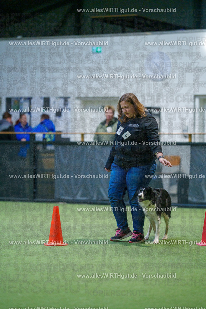 7R500619 | Professionelle Tierfotografie in Mönchengladbach von Daniel Wirth (allesWIRTHgut). Liebevolle & natürliche Bilder von Hunden & Katzen für unvergessliche Erinnerungen.