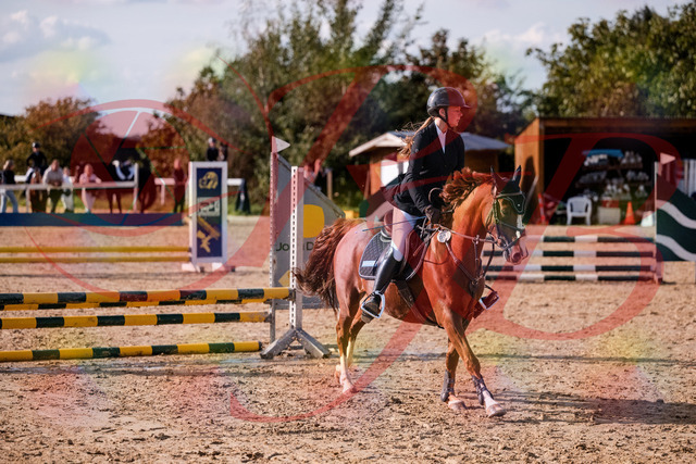 2026_10_03_Siefer-Hof_155751_Z81_77541820 | Professionelle Reitsport-, Turnier- und Eventfotografie von Robert Broda. Galerien mit ausgewählten und bearbeiteten Bildern direkt online ansehen und bestellen.