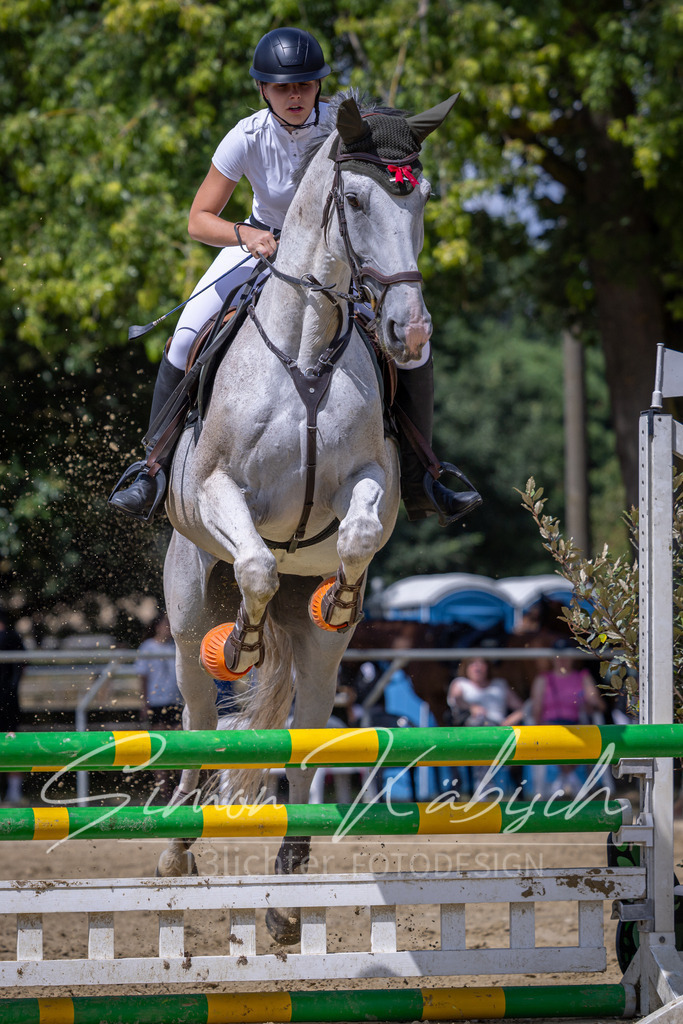 20260704-_3LI0343 | Tierfotografie Pferde, Hunde, Katzen, Haustiere.
Turnierfotografie Reitturniere, Reiten, Springreiten, Dressur in Hanau, dem Main-Kinzig-Kreis und dem Rhein-Main- Gebiet um Frankfurt