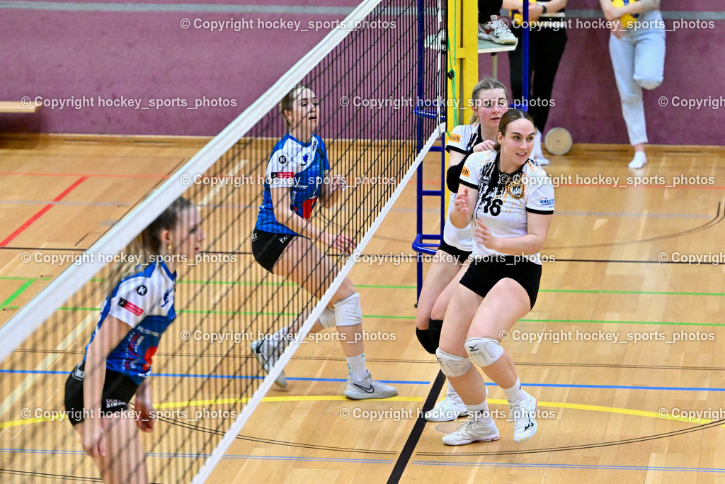 ASKÖ Volley Eagles Villach vs. TI- Schu Staudinger Volley 22.3.2024 | #1 Laura Maria RIEGER TI Volley, #16 Tamy KÖFLER Villach ASKÖ Volley, #25 Chiara SCHULER Villach ASKÖ Volley, ASKÖ Volley Eagles Villach vs. TI- Schu Staudinger Volley 22.3.2024, ASKÖ Volley Eagles Villach vs. TI- Schu Staudinger Volley am 22.03.2024 in Villach (Ballspielhalle Lind), Austria, (Photo by Bernd Stefan)