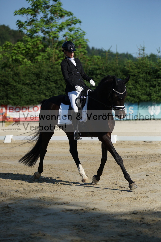 DSC02796 | equestrian-live-com