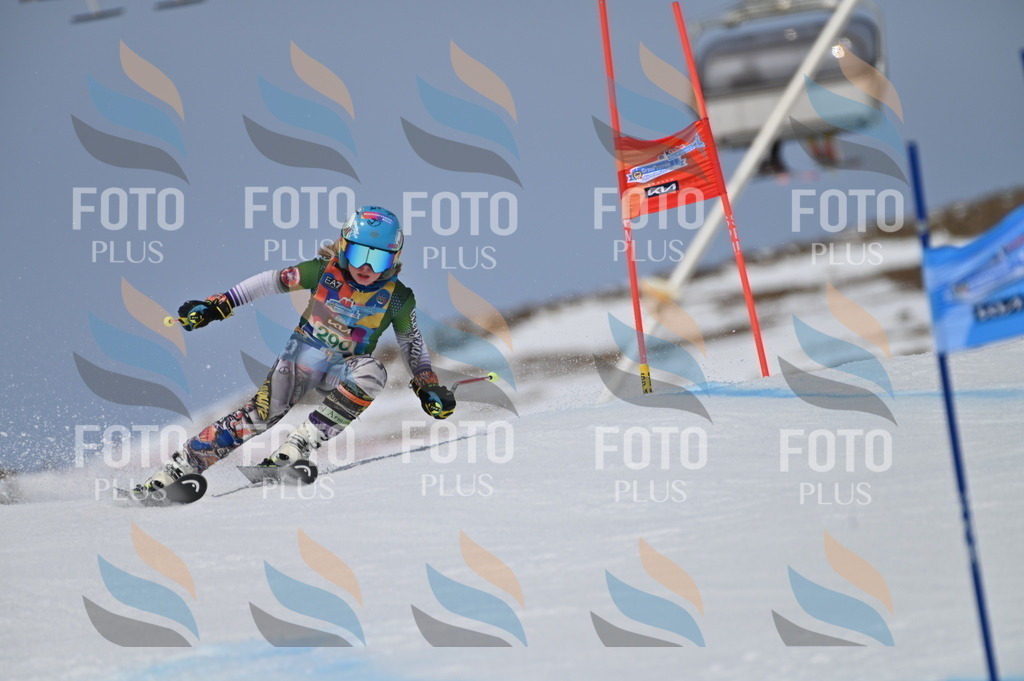 BGV_5783 | holidayphoto