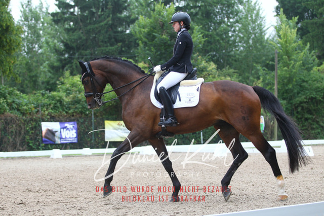 DKP40236 | Turniersportfotografie; Pferdefotografie; Dressurfotografie