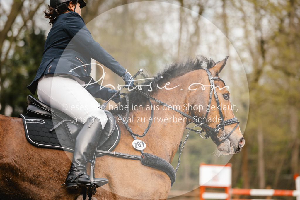 3I6A3198 | Stimmungsvolle Portraits und Reitsportfotografie im Ruhrgebiet und im Münsterland.

Pferdefotografie, Hundefotografie, Tierfotografie, Reportagen, Portraits von Tier und Mensch, Turnierfotografie in Bochum, Recklinghausen, Marl, Haltern am See, Dülmen.. - Realisiert mit Pictrs.com