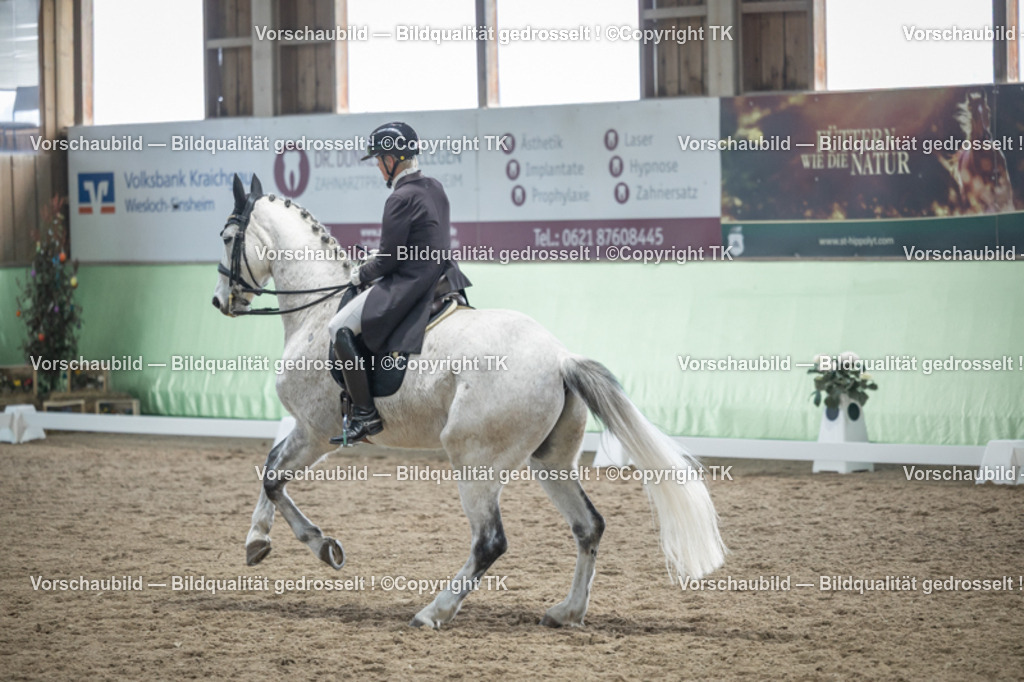 _D5A6408 | Emotionale Pferde- & People-Fotografie rund um Heidelberg, Leimen & Umgebung. Natürliche Fotos von Pferd, Mensch & Familie. Jetzt Termin sichern!