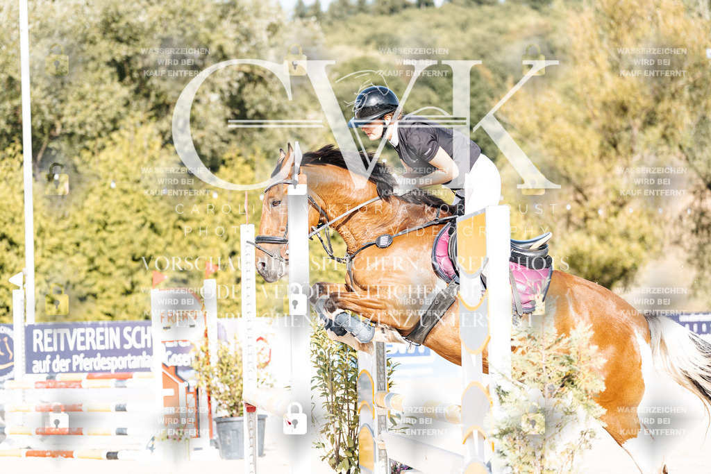 CK909376 | Turnierfotografie Pferdefotografie Trier Rheinland-Pfalz Pferdesport Reitsport Tierfotografie Sportfotografie Pferdevideo Pferdevideografie Equestrianvideography equestrianphotography  - Realisiert mit Pictrs.com