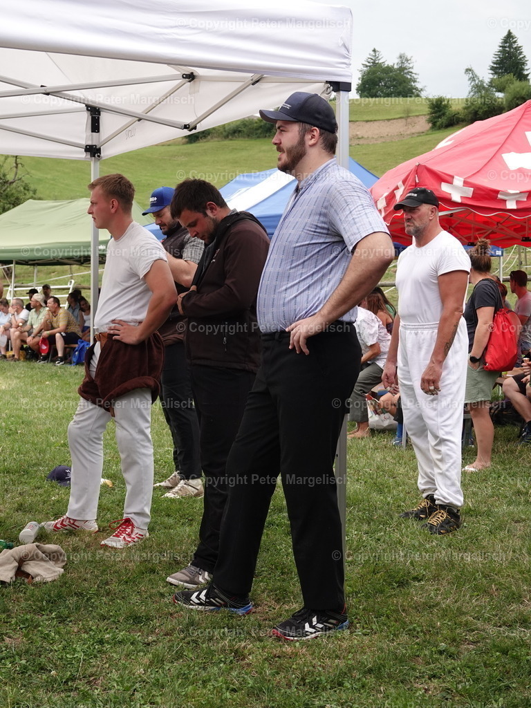 DSC05139 | Schwingen - Realisiert mit Pictrs.com