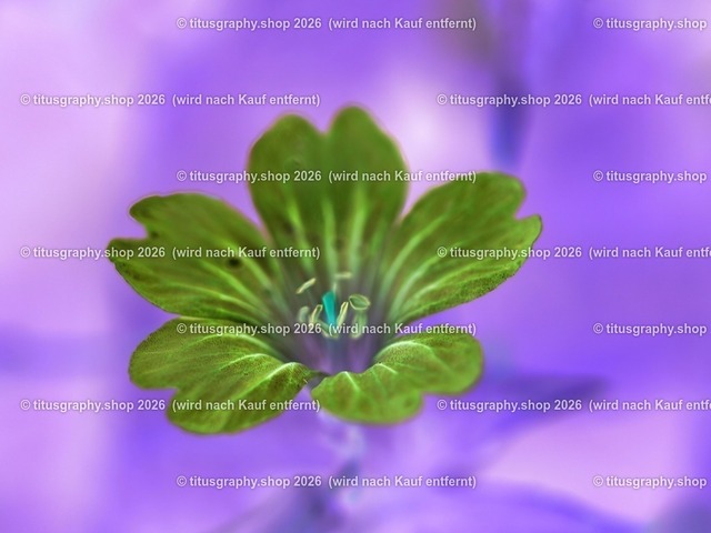 titusgraphy-P6080430_var-091 | Fotokunstarbeit aus der INSTAGRAM-Gallerie auf titusgraphy.eu - Realisiert mit Pictrs.com