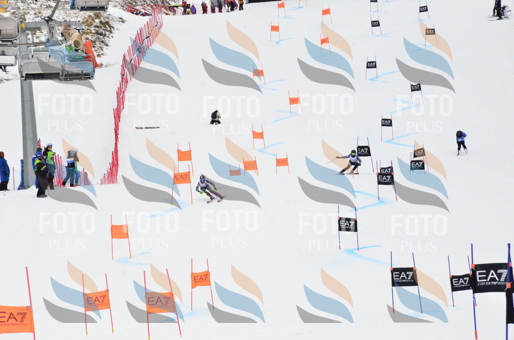 _ELE3863 | holidayphoto