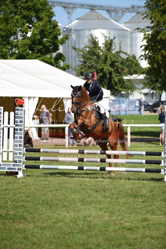 DSC_9218 | Pferde- und Turnierfotografie in Westsachsen. Pferdeportraits, Auftragszeichnungen und intuitive Kunst.