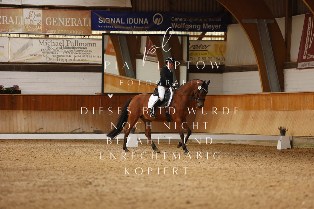 IMGM5539 | pl-fotografie