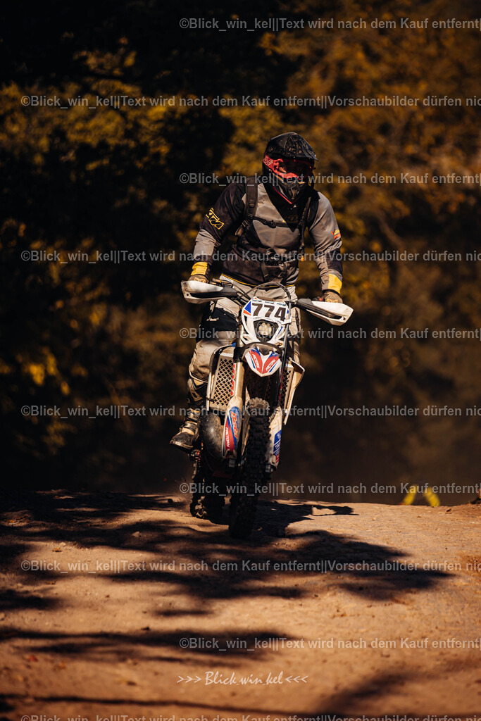 E68A7752 | blick_win_kel