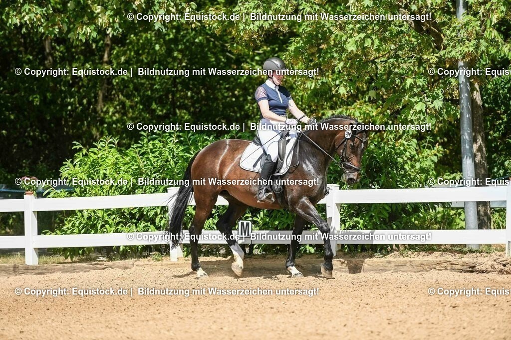 20230715_02_Dressurreiterprüfung Kl.L_0114 | equistock