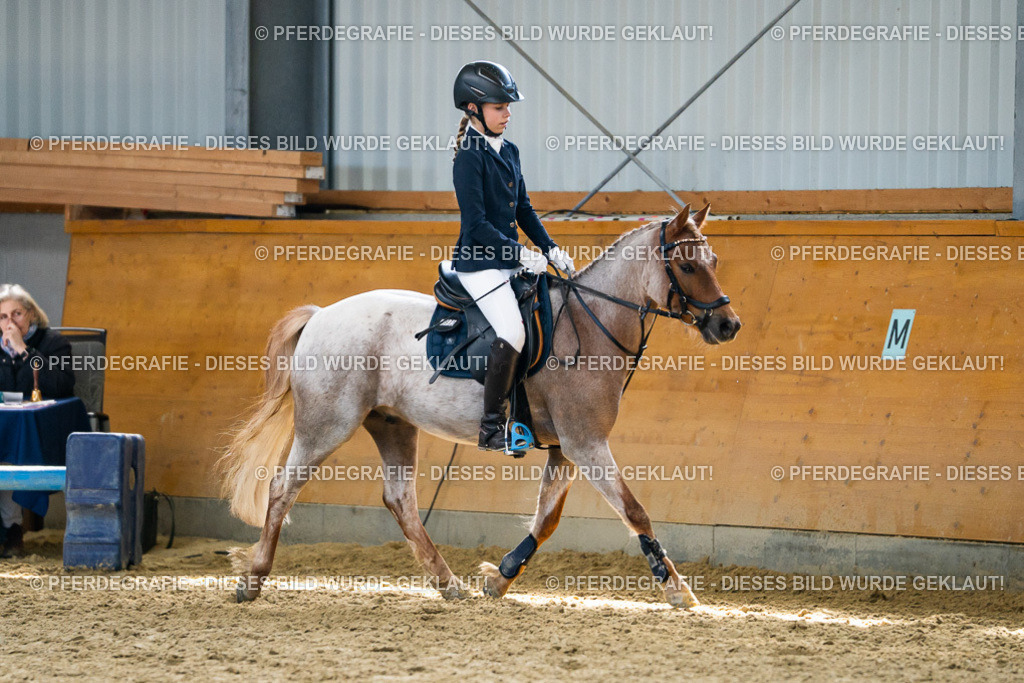 DSC02232 | Pferdegrafie